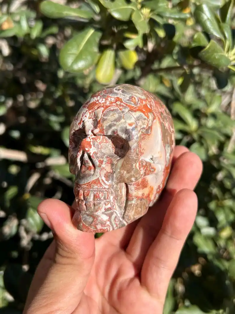 Money Agate Skull | Money Agate Carving | Money Agate Crystal ，Unique Specimen for Collectibles and Educational Use