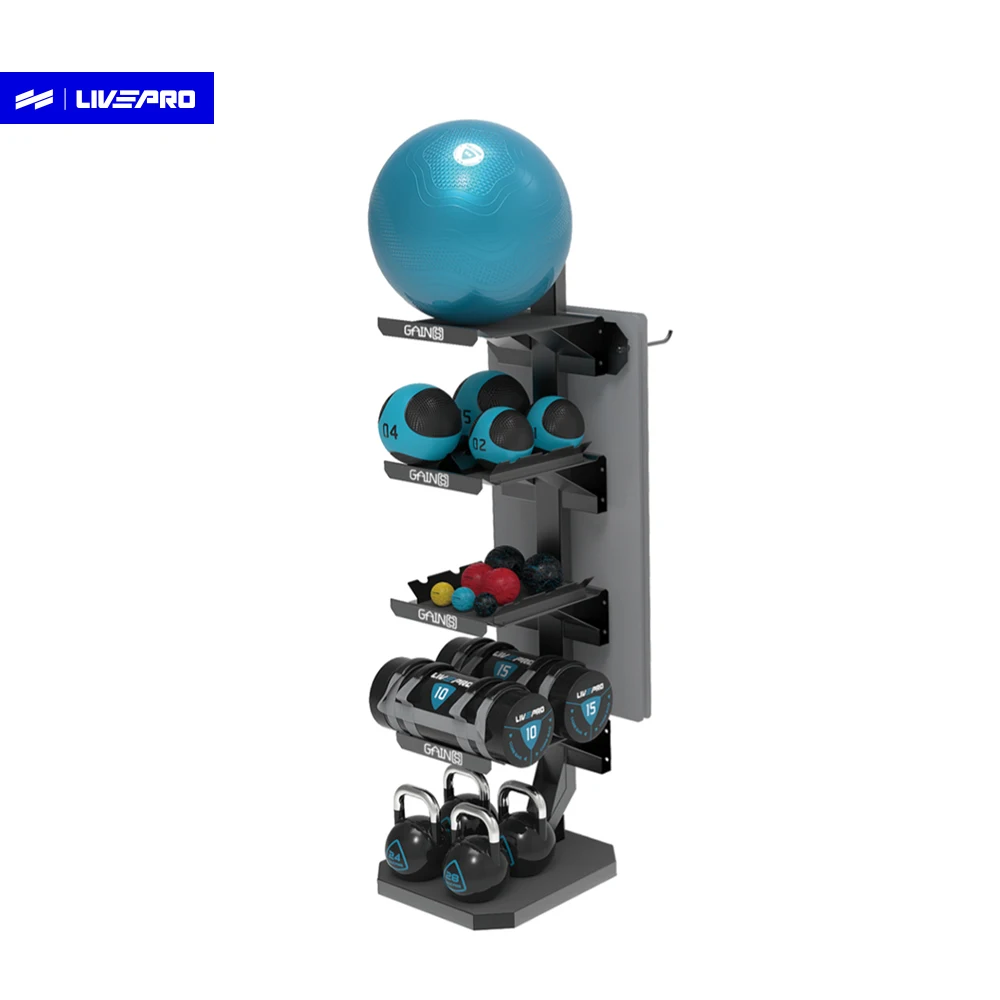 

Livepro Gym Equipment Accessories Commercial Dumbbell Wall Gym Ball Training Multi-functional Gym Storage Rack