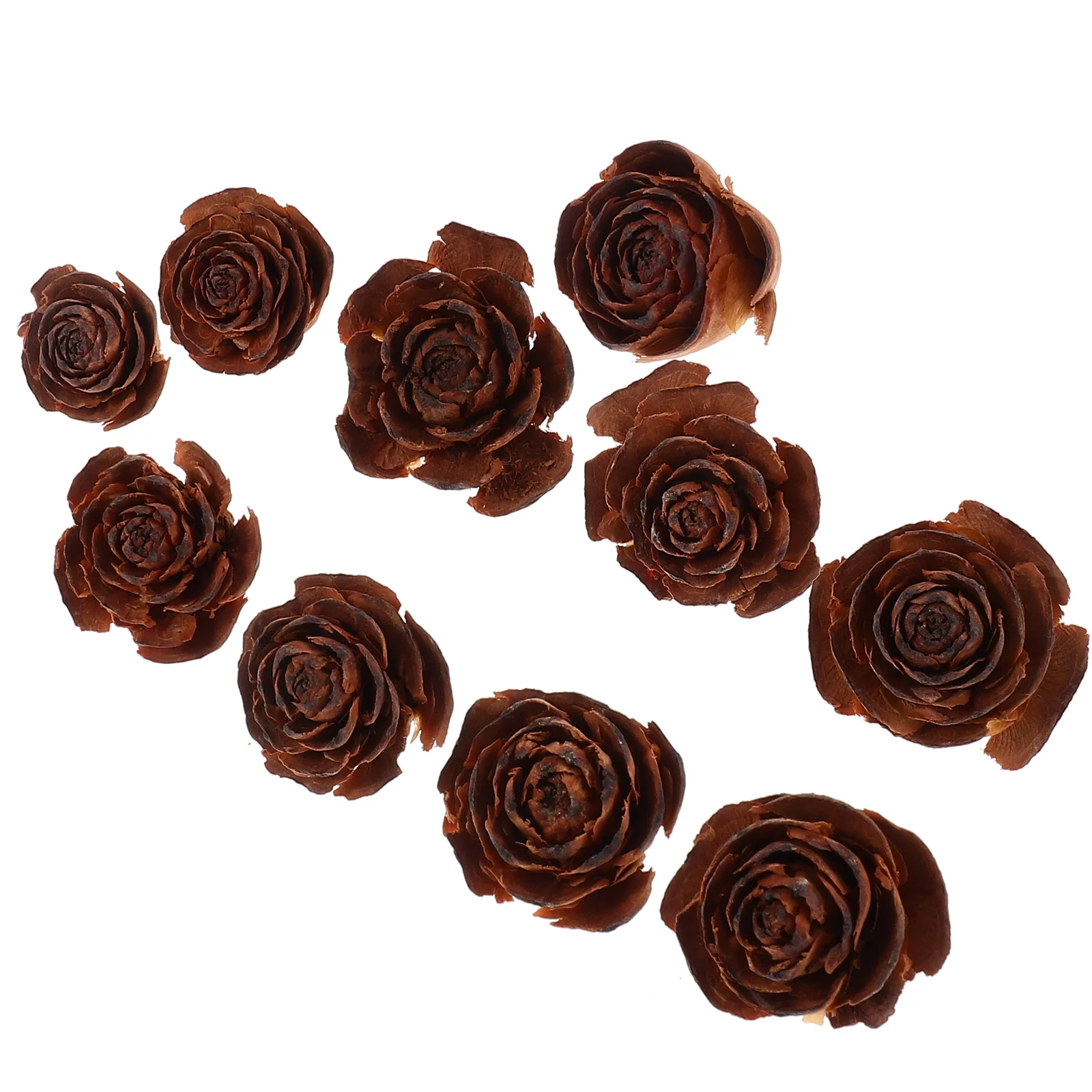 10pcs Dried Flowers DIY Dried Flowers Handmade Crafts Material Natural Flower Sample flowers material