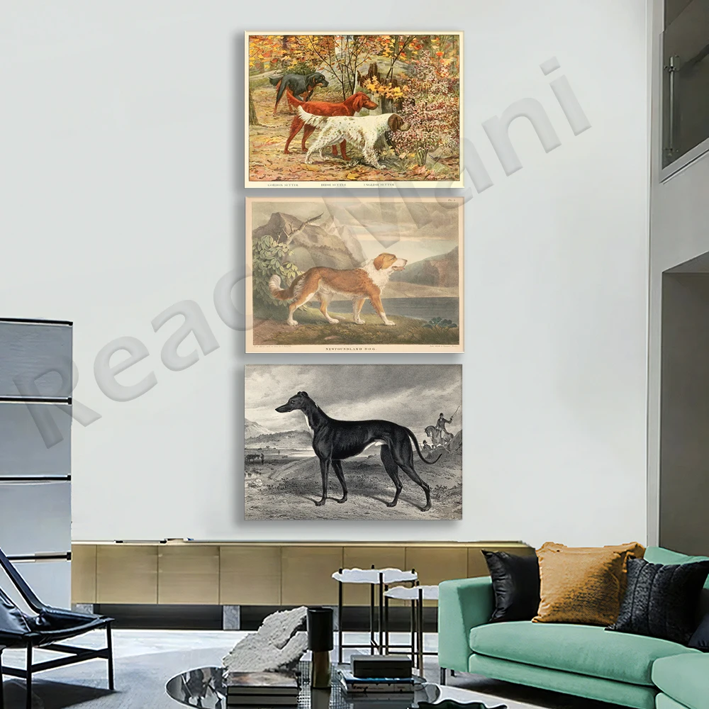 Greyhound, Russian Wolfhound, Great Dane, Newfoundland, Gordon Setter, Irish Setter, English Setter, Bulldog animal poster art