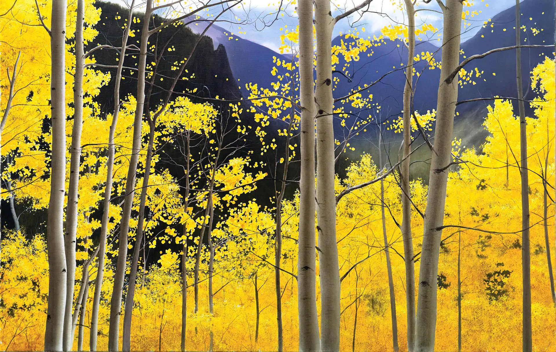 

Metal Side Step Pedal for 1/10 RC Crawler Car REDCAT GEN8 Scout II Upgrade Parts