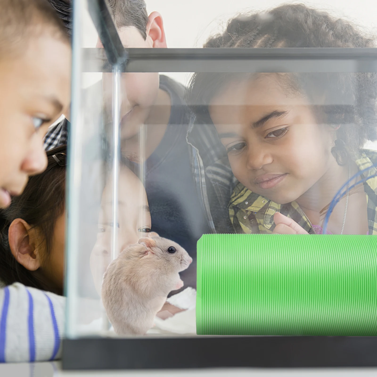 

Plastic Hamster Tunnels Telescopic Toys Cage Accessories Guinea Pig Ball Grass Molar Kit Reusable Lightweight Pet Supplies