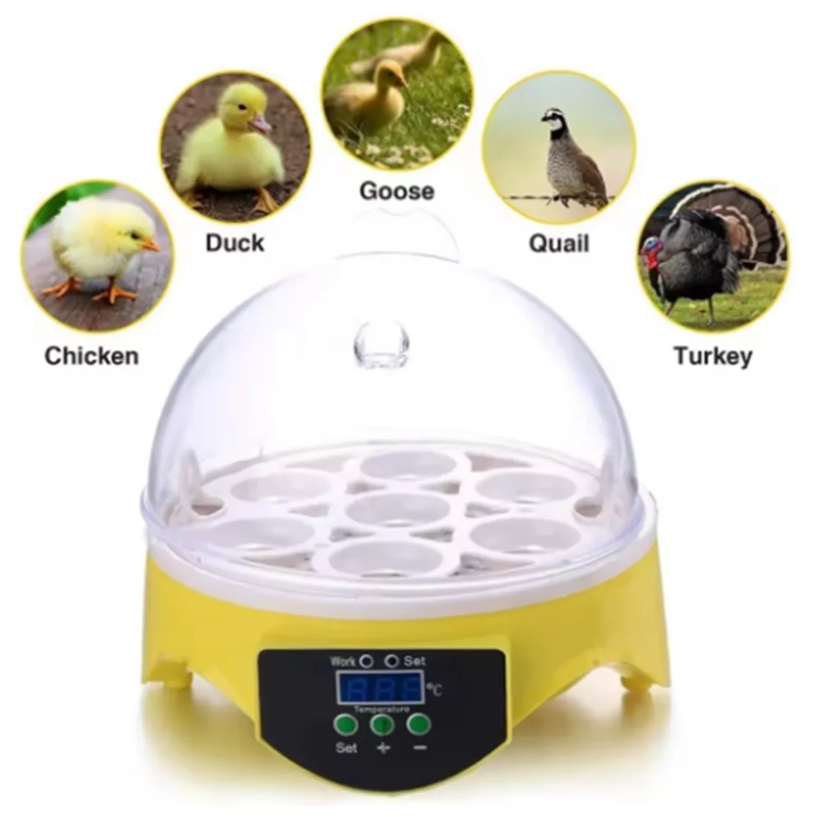 X61A_Inkubator Telur Digital untuk Unggas dan Burung Colokan AS