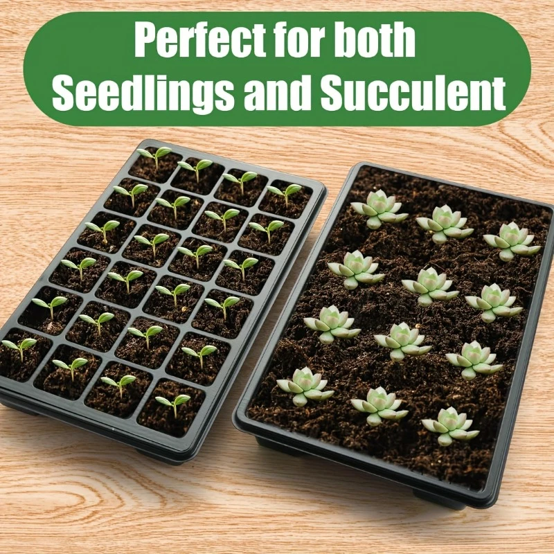 1set 24 Grid Seed Seedling Tray With Dome Cover And Ventilated Base Heavy-Duty Greenhouse Breeder For Succulent Herbaceous Cacti