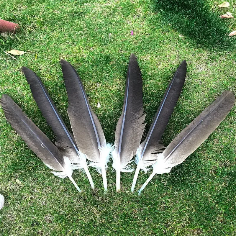 1PC Rare Feather Natural Big Feather Arrow Horse Eagle Tail Hair DIY Exorcism Town House Stage Prop Decoration