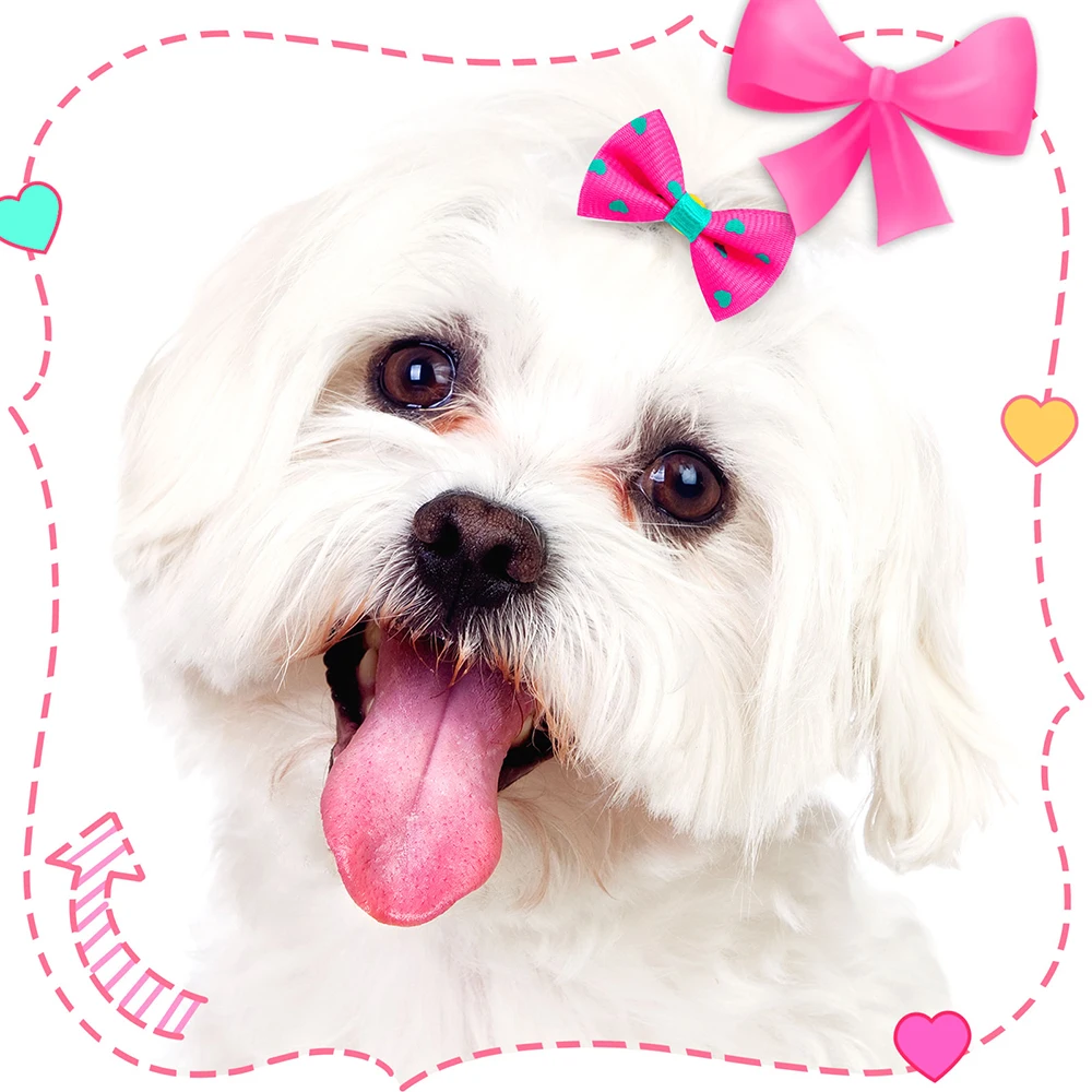 10/20PCS Pink Style Decorate Dog Hair Bows Cat Dog Hair Bows Puppy Hair Rubber Bands Hair Accessories for Small Dog Accessories