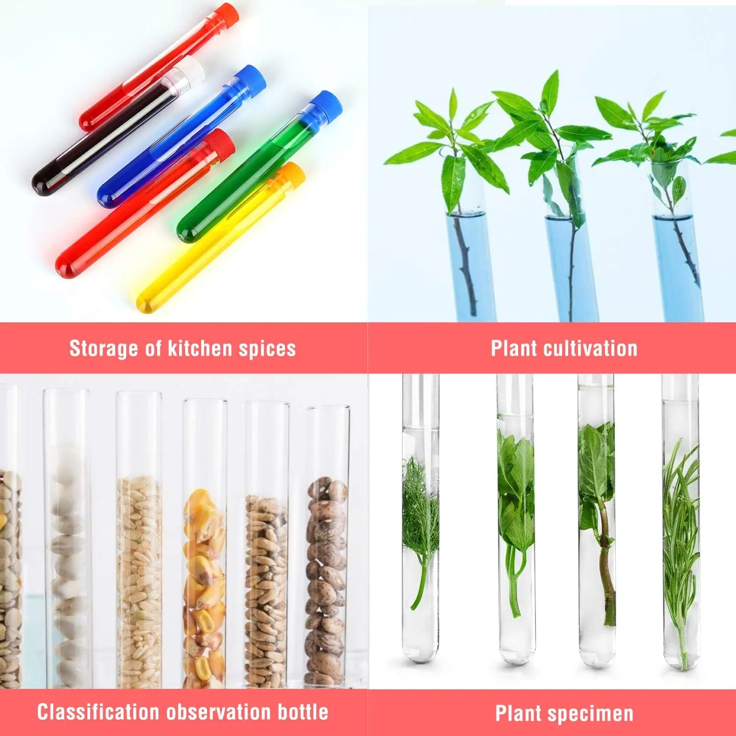 Set of 6 Assorted Color Plastic Test Tube Set with Caps and Rack Scientific Experiment(1 Set)
