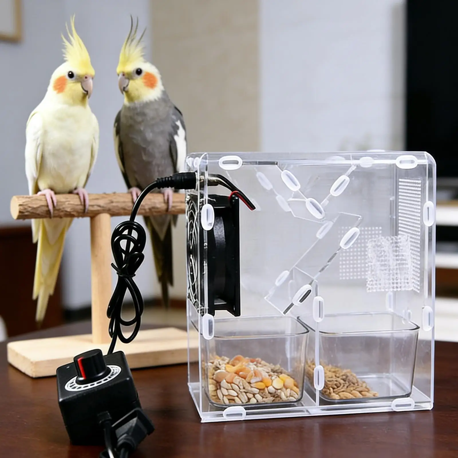 Electric Detachable Bird Food Shell Remover Clear Sifter for Finch Parrots Lovebirds Conures Home Aviary Seed Hull Separator