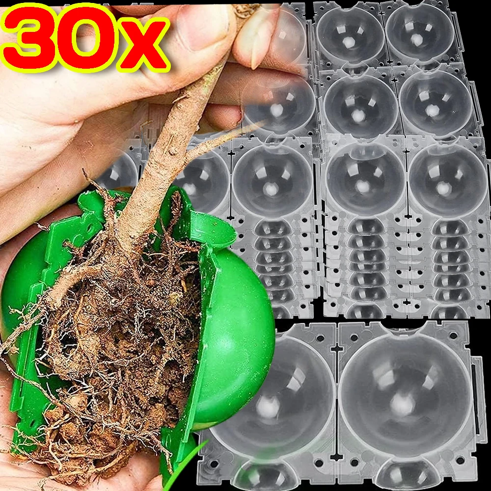 Plant Cutting Rooting Ball Reusable Air Layering Propagation Breeding Case Grafting Rooter Growing Box Garden Planting Supplies