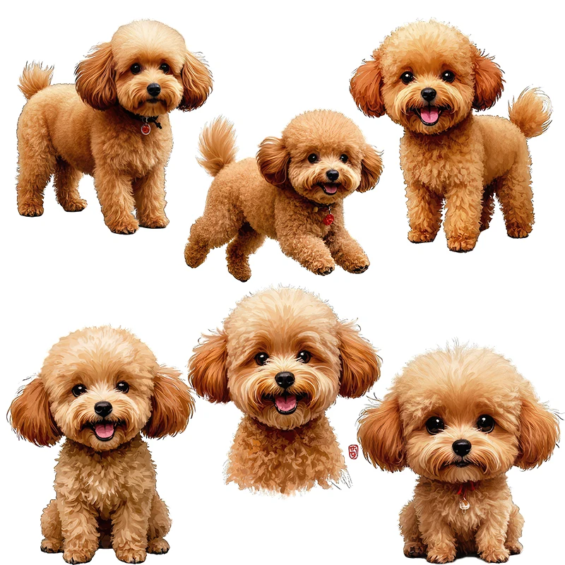 Three Ratels CG76 Cute Teddy Dog Animal Wall Stickers for Home Decoration  Car Body decals Waterproof