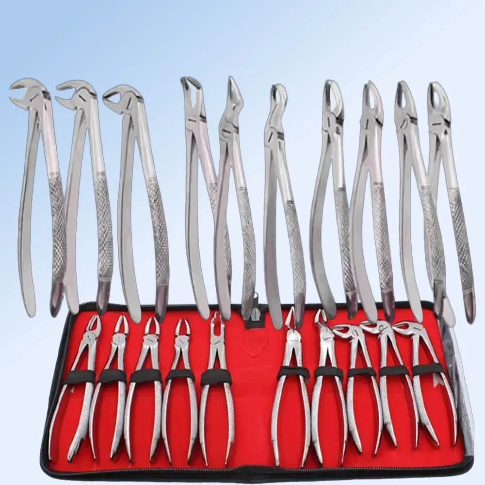 

Medical Adult Dental Extraction Forceps Kit for Residual Root and Surgical Tooth Removal Professional Instruments