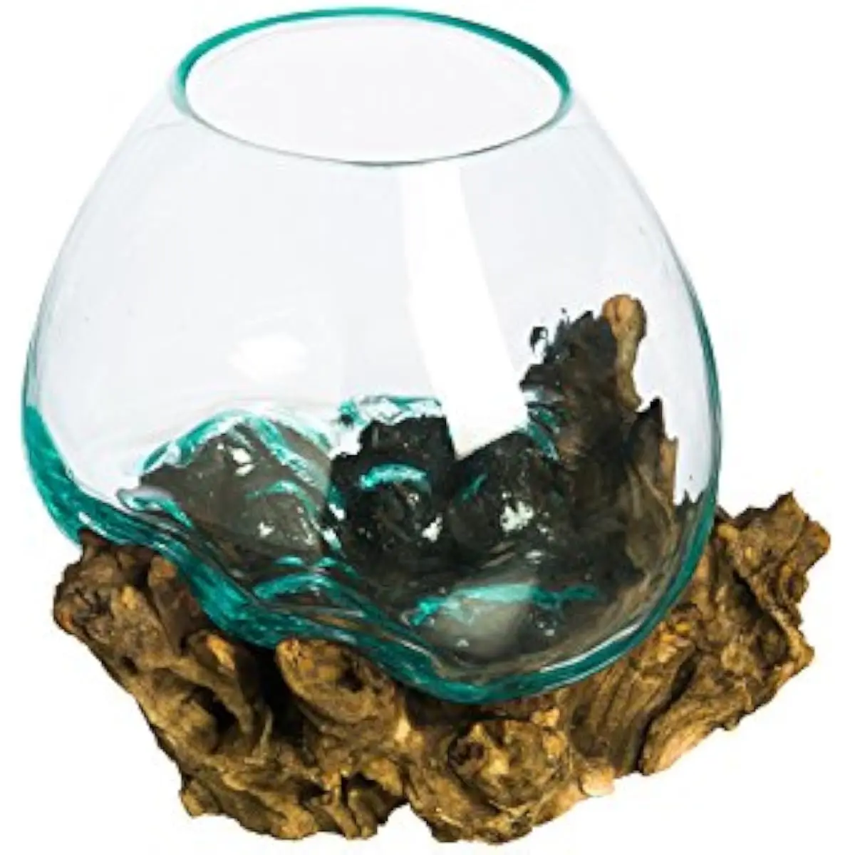 10 Inch Oval Handcrafted Recycled Glass Terrarium with Natural Driftwood Base | Portable Indoor Planter for Succulents Air Plant