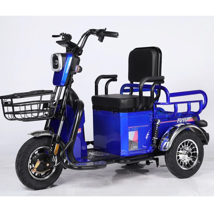 2024 Best 3 Wheel Passenger Tricycle Two Seat 48v Electric Tricycle Bike for Adults and Old People