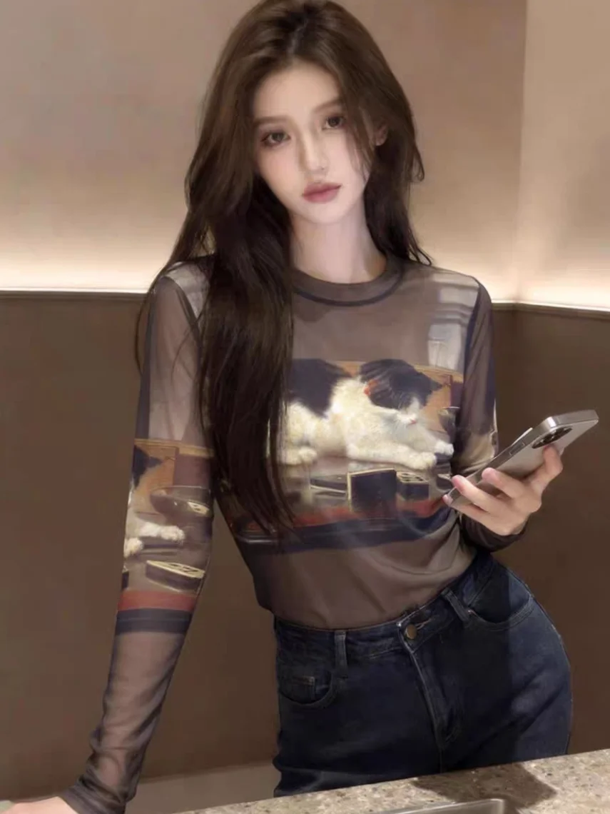 

Cute Print Long Sleeve Mesh T-Shirt Women's Summer New Style High-End Sunshade Cover up Korean Style Straight Cut Silk