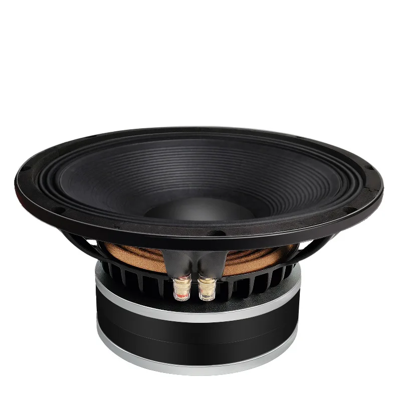 12 Inch High Power Outdoor Speaker - Portable PA System for Karaoke, Square Dancing & Live Performance