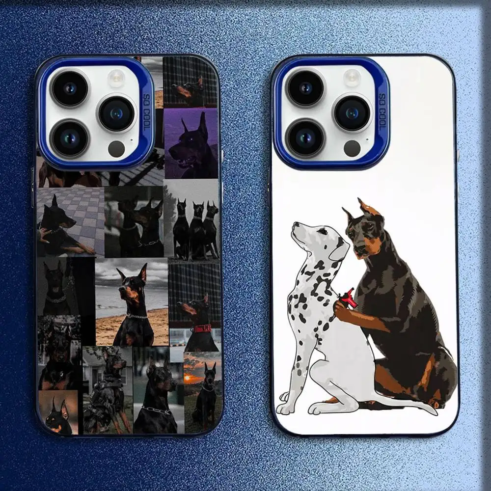 Funda de teléfono divertida con diseño de perro Doberman Pinscher para iPhone 16,15,14,13,12,11, Mini,Pro,E,MAX, azul caramelo, mate, a prueba de golpes