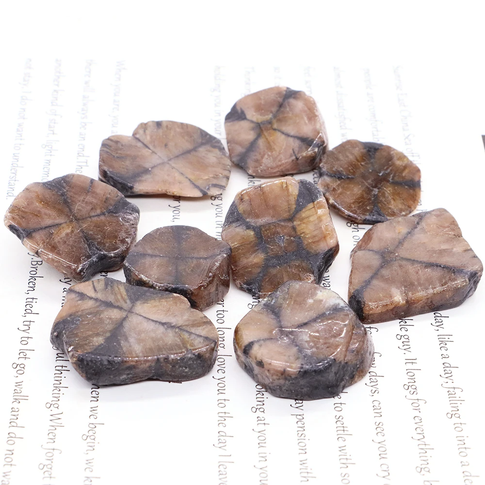 

Natural Chiastolite Quartz Crystals and Healing Stones Tumbled Bulk Mineral Specime Gemstones Home Aquarium Decoration Wholesale