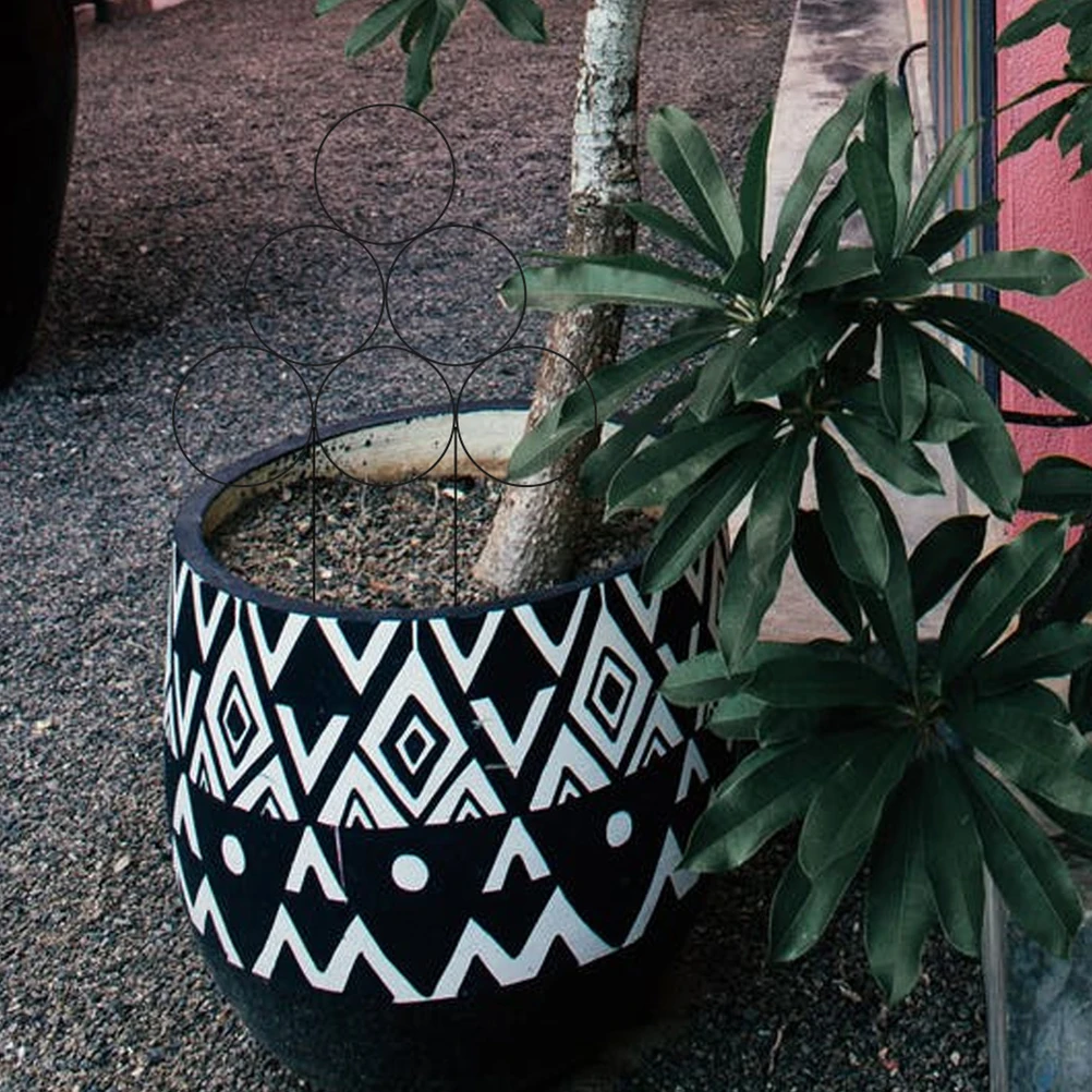 

Professional Garden Plant Stand Sturdy Trustworthy Climbing Plant Support Rack Roses Peas Morning Glories Decor