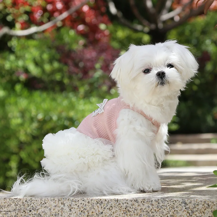 Ropa para gatos y perros: Falda de malla con volantes – Verano - imagen 2