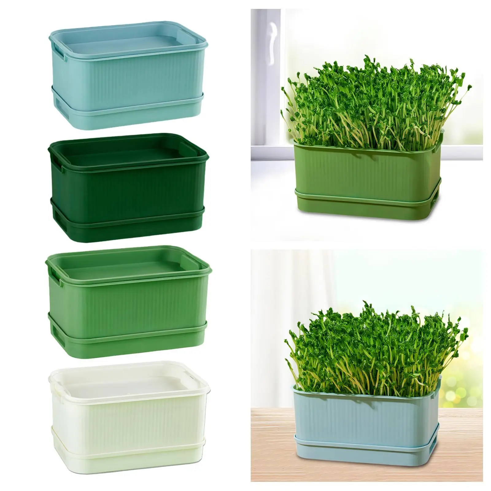 Seed Sprouts Tray Green Growing Tray Nursery Tray, Large Capacity Sprouting Tray Germination Plate for Arugula