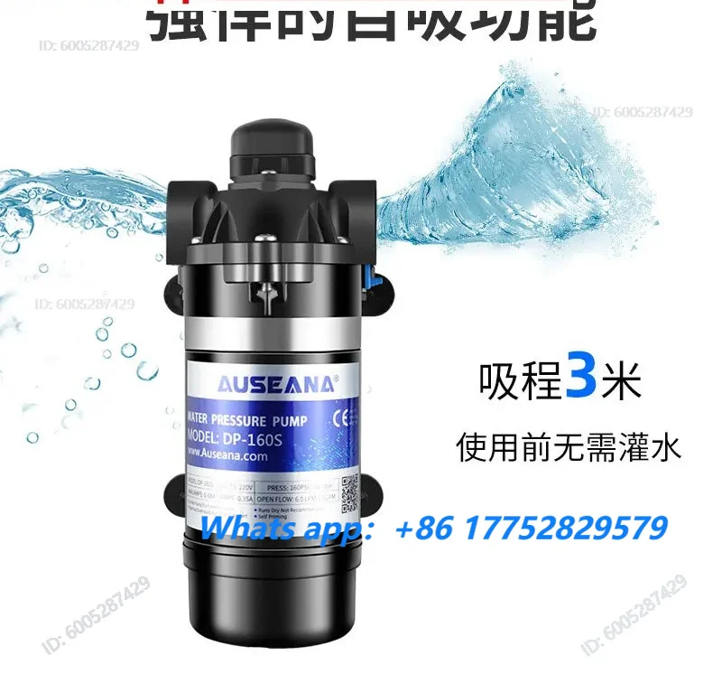 DP160S high pressure atomizing pump 220V electric self-priming diaphragm / small sprayer drug / floor heating cleaning pump