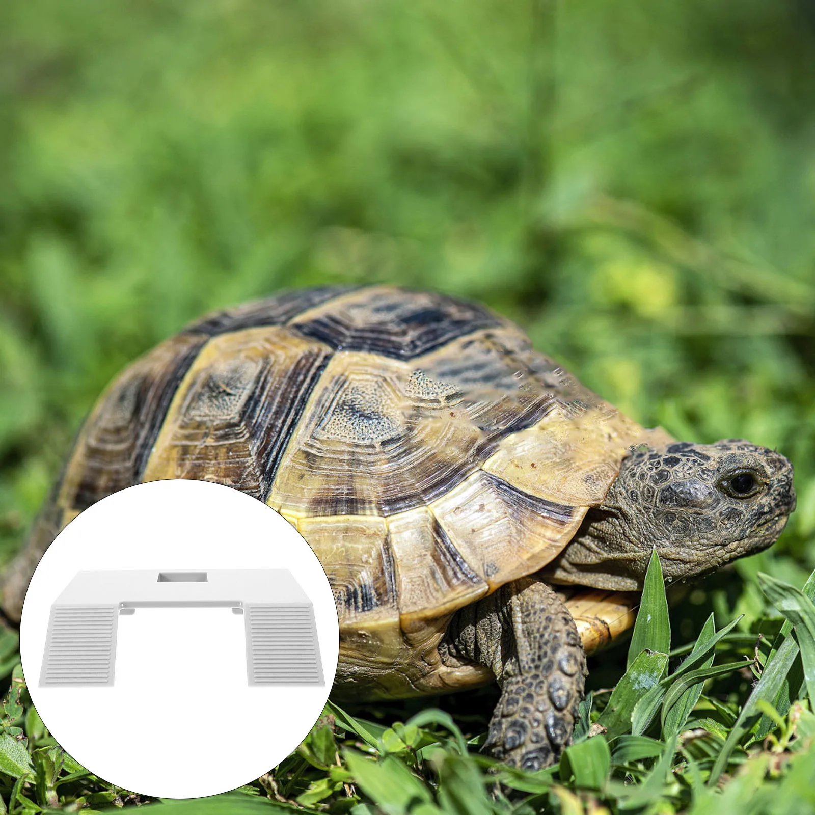 

Tortoise Climbing Basking Platform Stable Lightweight Turtle Ramp Floating Aquarium Landscape Decor Turtle Basking Platform