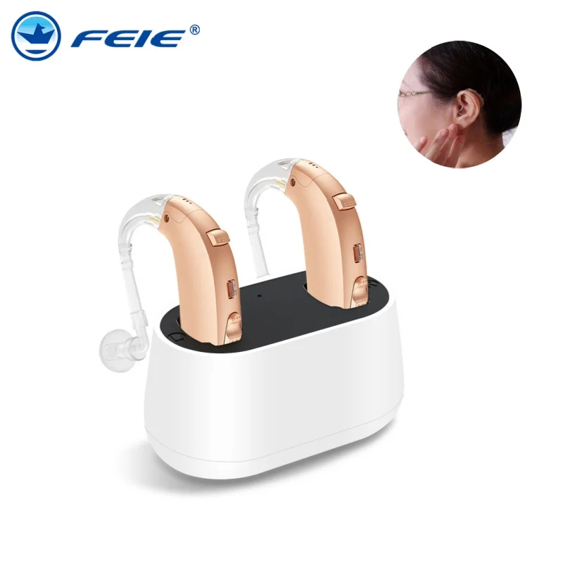 2024 NEW 16 channels Digital Rechargeable Hearing Aids for Seniors RIC Hearing Aid for People with Mild Moderate Hearing Losse