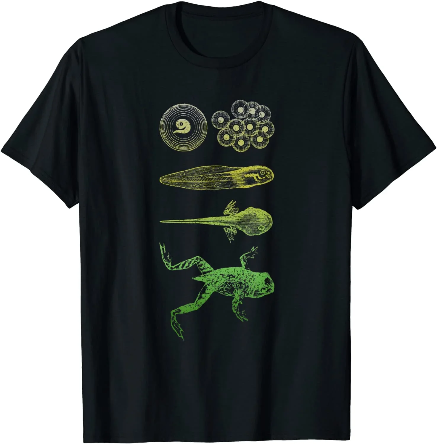 

Frog Tadpole T-Shirt Metamorphosis Life Cycle Biology Tee