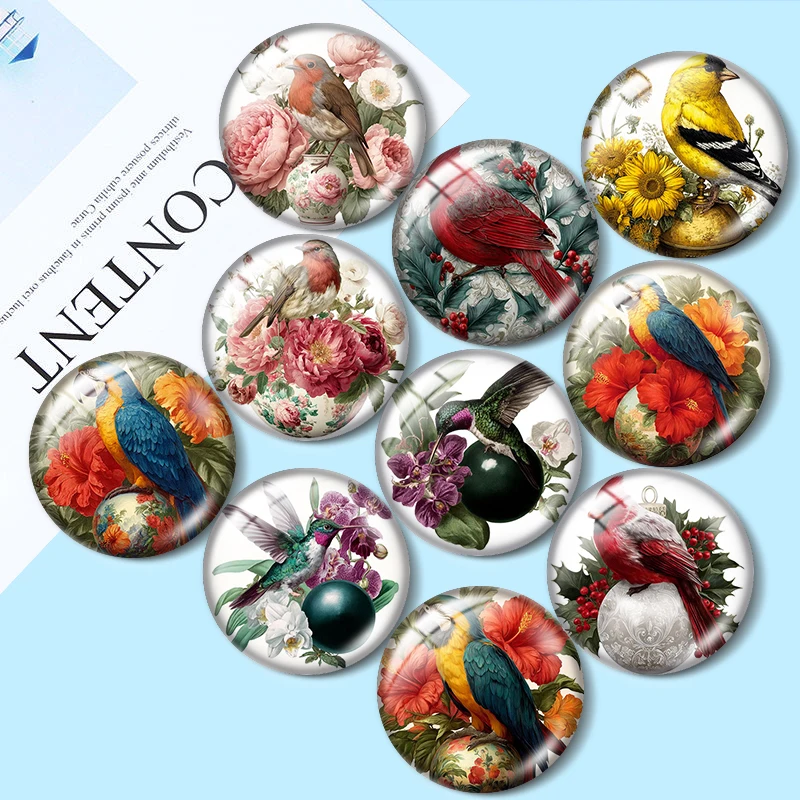 Vintage Bird  12/18/20/25mm glass cabochon  bracelet pendant rings for jewelry demo earrings back Making findings