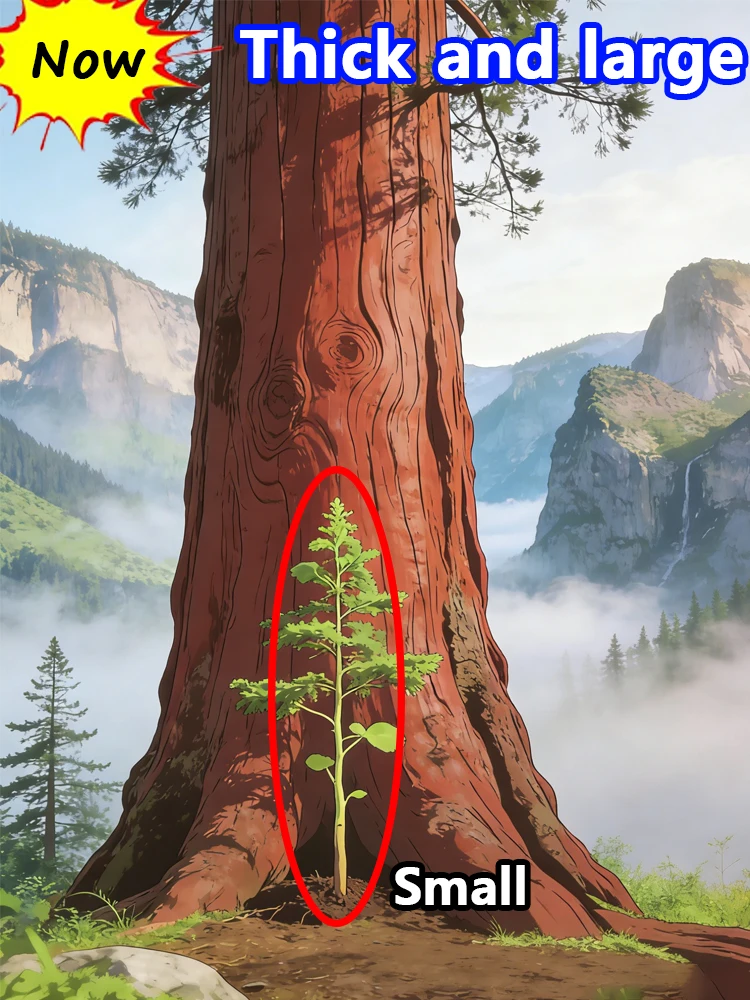 

Rapid erection, permanent growth and enlargement, increased orgasm duration and ejaculation distance.