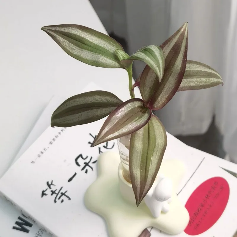 Cat Hydroponic Glass Tube Vase, Gypsum Cat Desktop Green Plant Decoration, Test Tube Vase Combination for Home Decoration