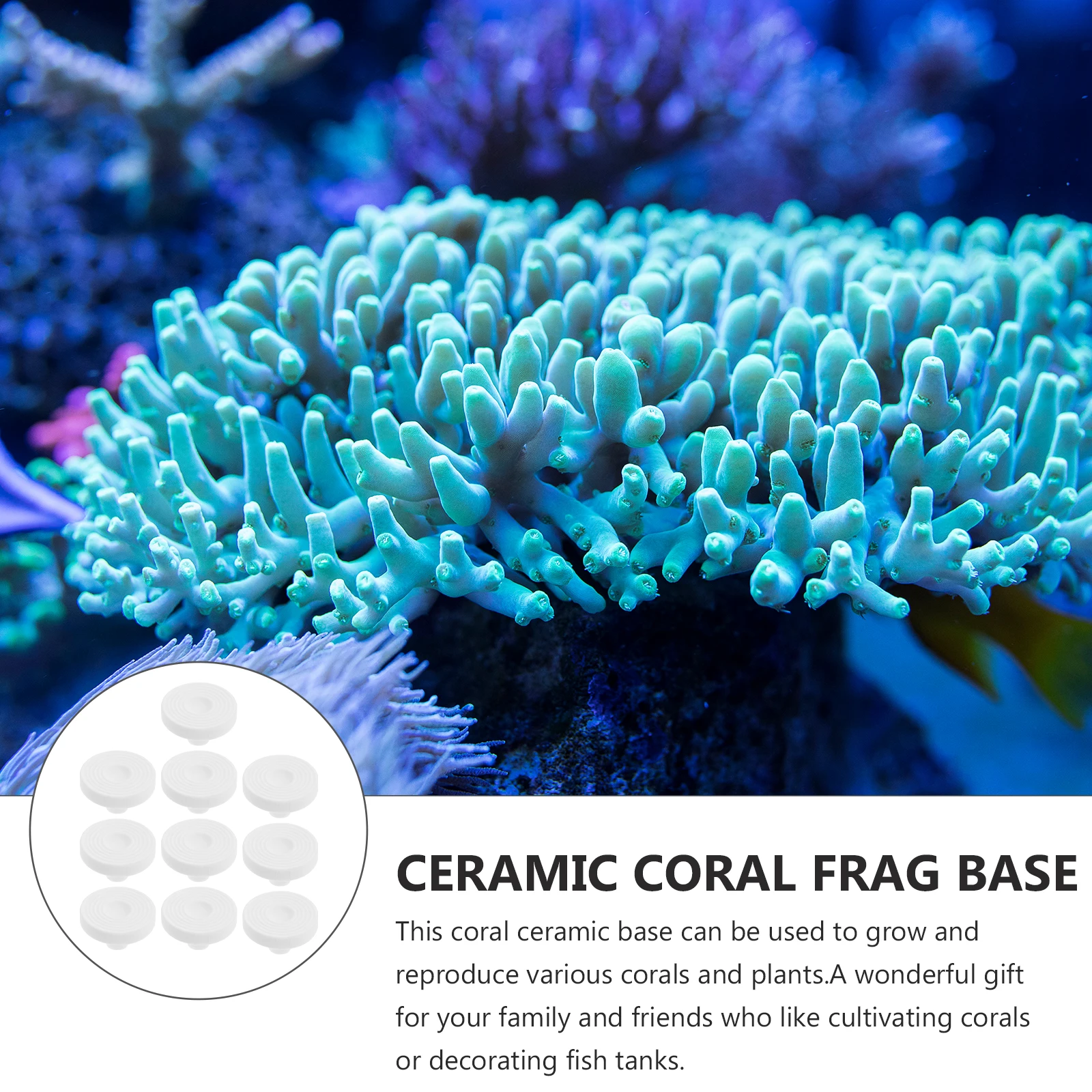 

10Pcs Ceramic Coral Bases Stands Stable Aquarium Coral Breeding Holder Fish Tank Supplies Aquarium Accessory