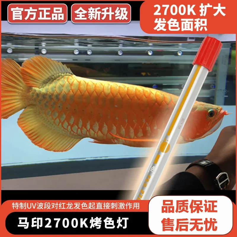 Horse Print 13000K Red Dragon Gold Dragon Colour Lamp 6700K Special Waterproof Aquarium Lamp Colour Attraction Diving Lamp 2700K