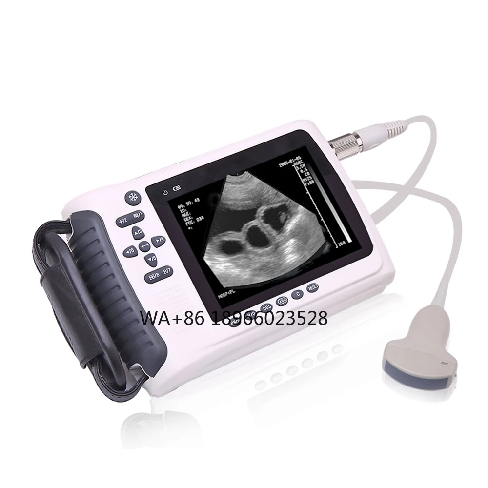 LT3018V CE Portable Veterinary Handheld Ultrasound USG Pet Price