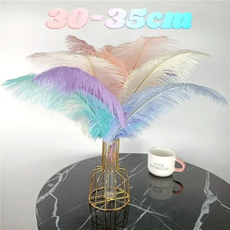 10Pcs/Lot Colored Ostrich Feathers for Crafts Wedding Decoration Handicraft Accessories Table Centerpieces Carnival Plumas Decor