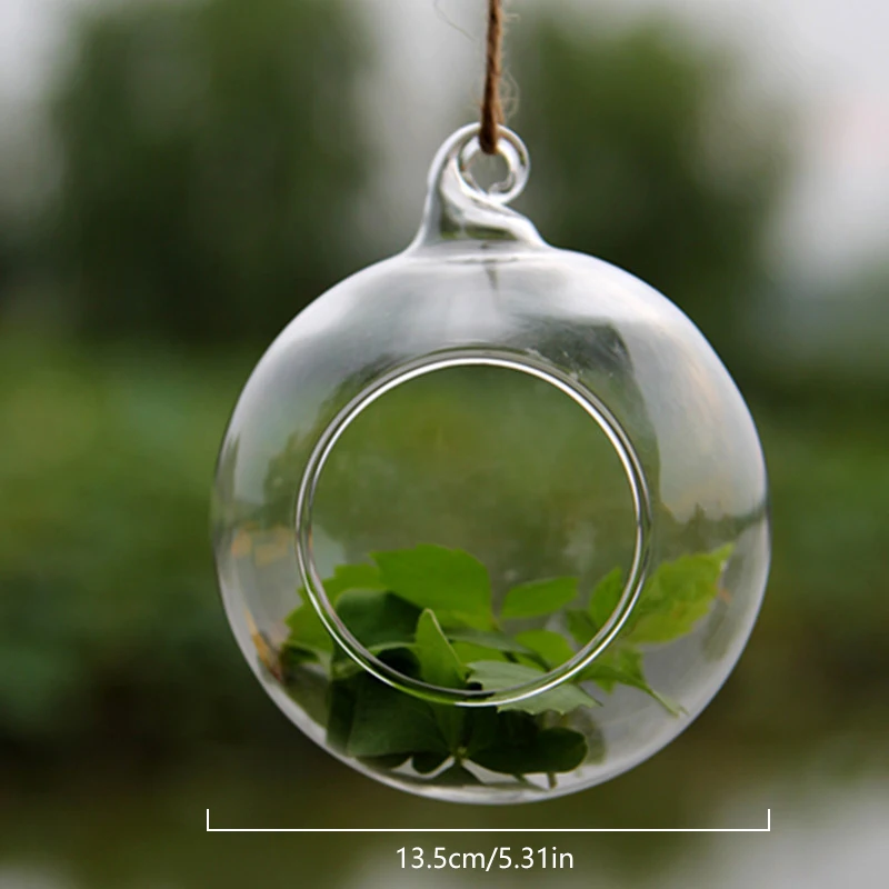 Wall Hanging Glass Flower Vase Semi-Circular Plant Hydroponic Terrarium Wall Fish Tank Aquarium Container Home Living Room Decor