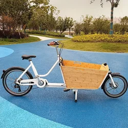 20'' Big Volume Family Cargo Bike Front Load Wood Box Carring Kids Electric Bicycle Long Electric Cargo Bike