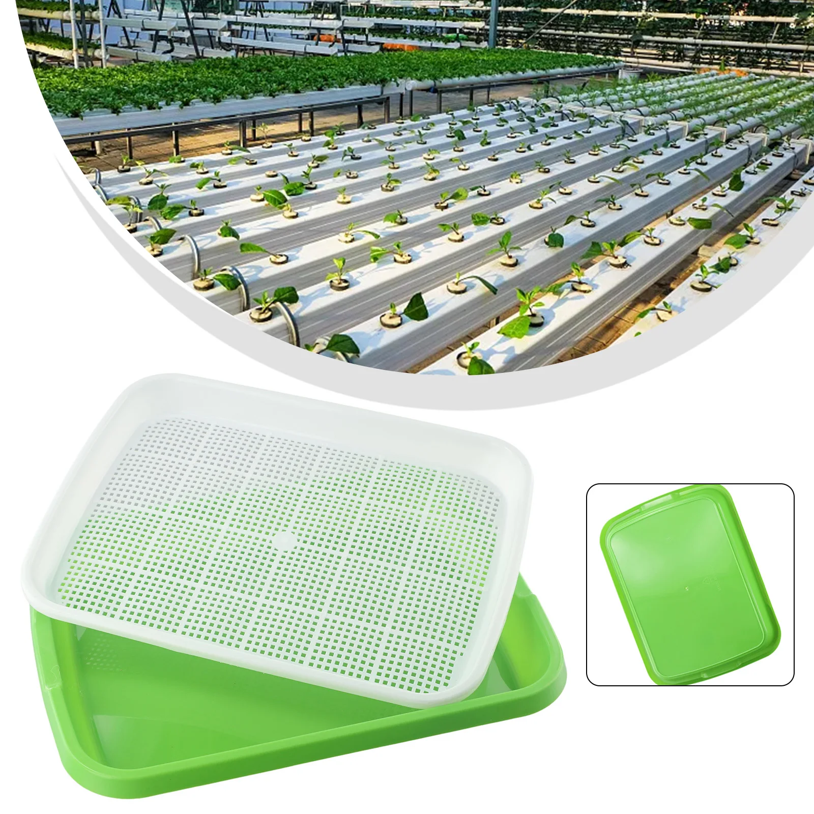 Micro Green Hydroponic Sprouting Tray For Sprouts Vegetable Beans Pot Plants Germination Plate Sprout Dish Growing Nursery Pot