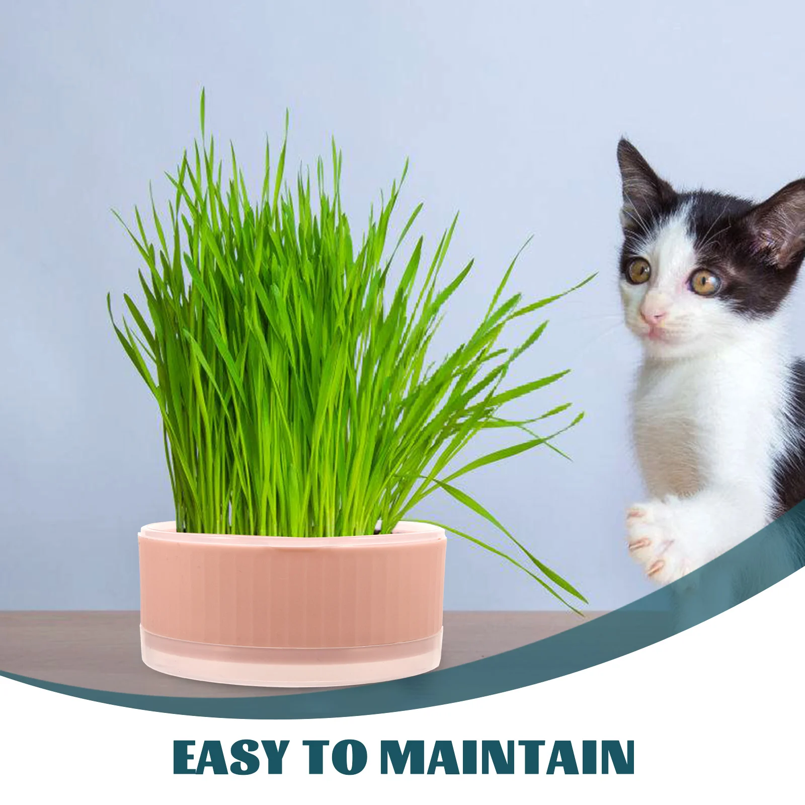 

Cat Grass Planter Pink Soilless Hydroponic Planting Box for Home Nursery Cat Bowl Convenient Growing Kit Without Seeds