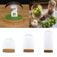 Glass Dome Covers For Flower Succulent Plant DIY Dustproof Cover Case Transparent Bottle Glass Vase Desktop Home Decor