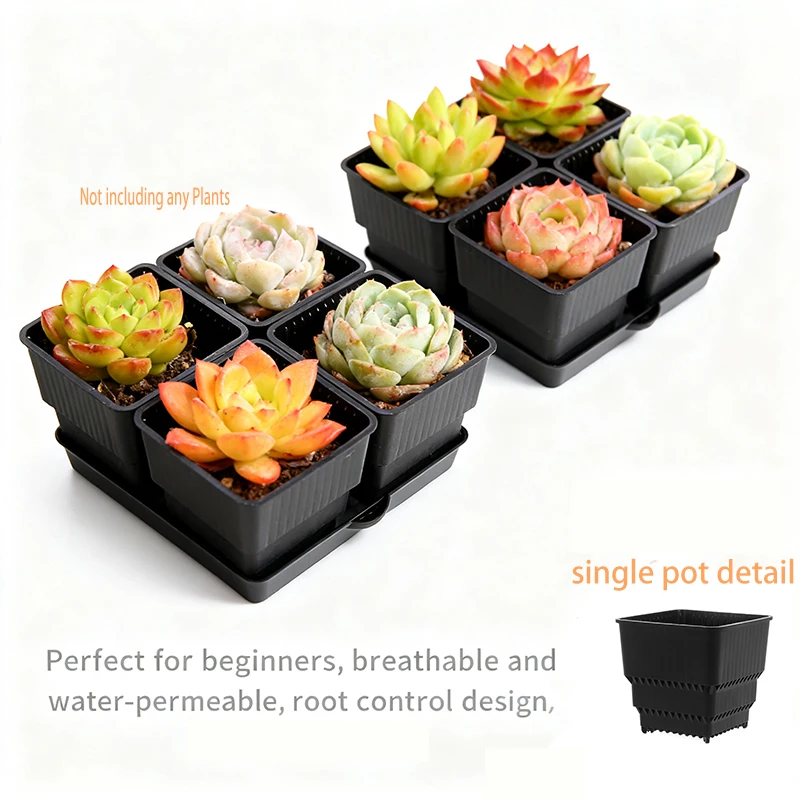 أصيص شبكي أسود قابل للتنفس وصديق للصرف، أوعية عصارية لزراعة الصبار - مثالي للمبتدئين