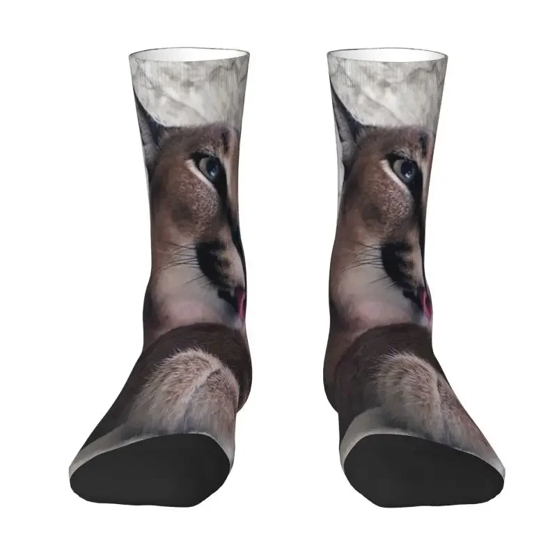 Cute Caracal Cat Dress Socks Mens Womens Warm Fashion Big Floppa Meme Crew Socks