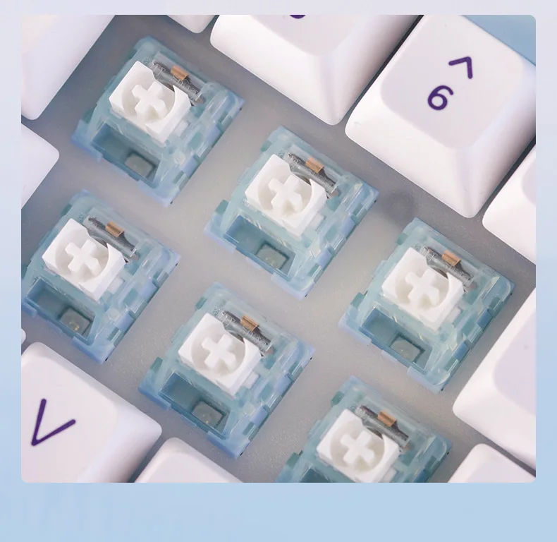 1/3/5PCS Kailh Platycodon Grandiflorum Tastatur Schalter MX Staub-proof Guide Core Erweiterte Taktile mechanische Tastatur Schalter – Detail 10