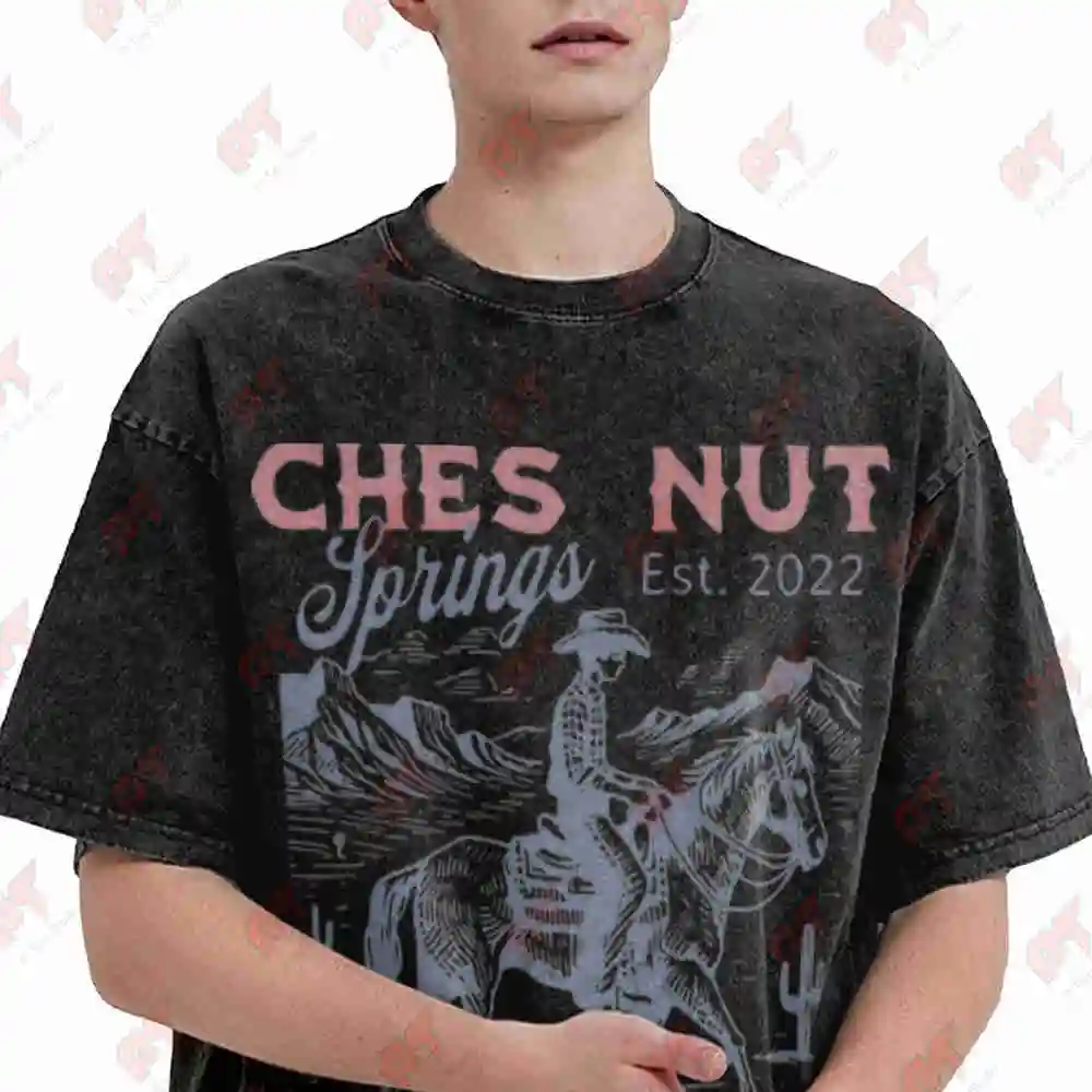 Chestnut Springs Elsie Silver Cowboy Romance Vintage Washed Tee Pure Cotton T-Shirt