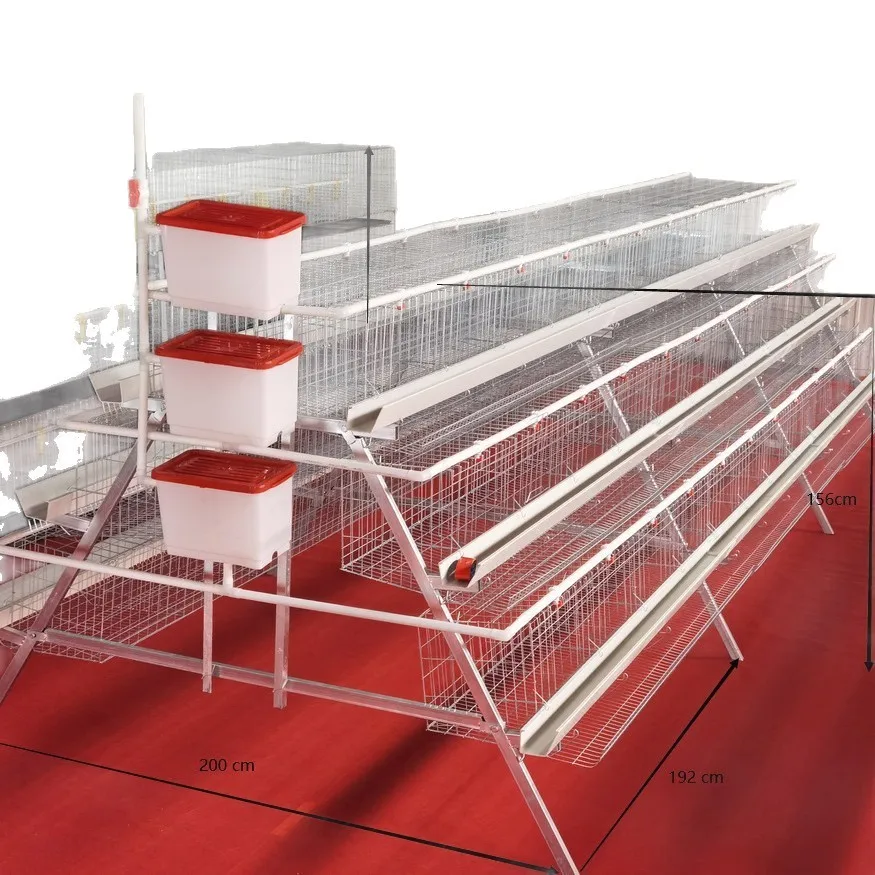 Automatic Layer Chicken Cage, Multi-Level Egg Collection, Step-Type Bilateral Design, Large Capacity Poultry Farming Equipment