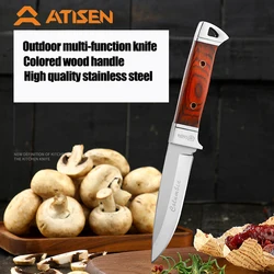 Manufacturer Wholesale Hot Sale Sharp Stainless Steel PP Handle Paring Knife Small Kitchen Fruit Knife Cut Fruit Outdoor Camping