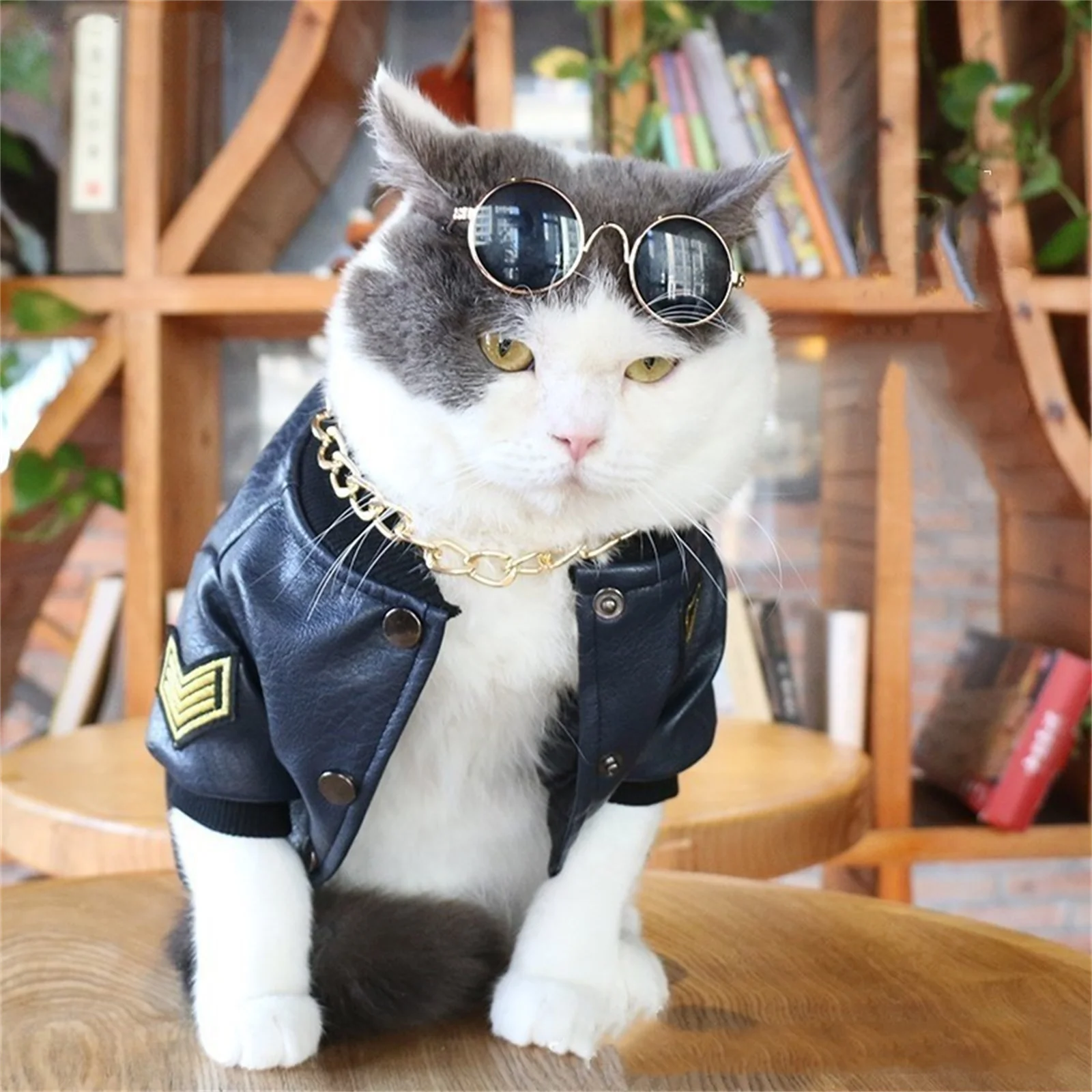 Cute Pet Costumes For Cats And Dogs Funny Cat Costume Stand Up Collar Jacket