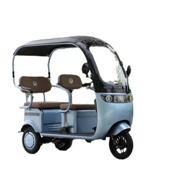 Hot Selling Elderly Electric Tricycles 3 Wheels Electric E Bike For Adults With Roof Foldable Seat