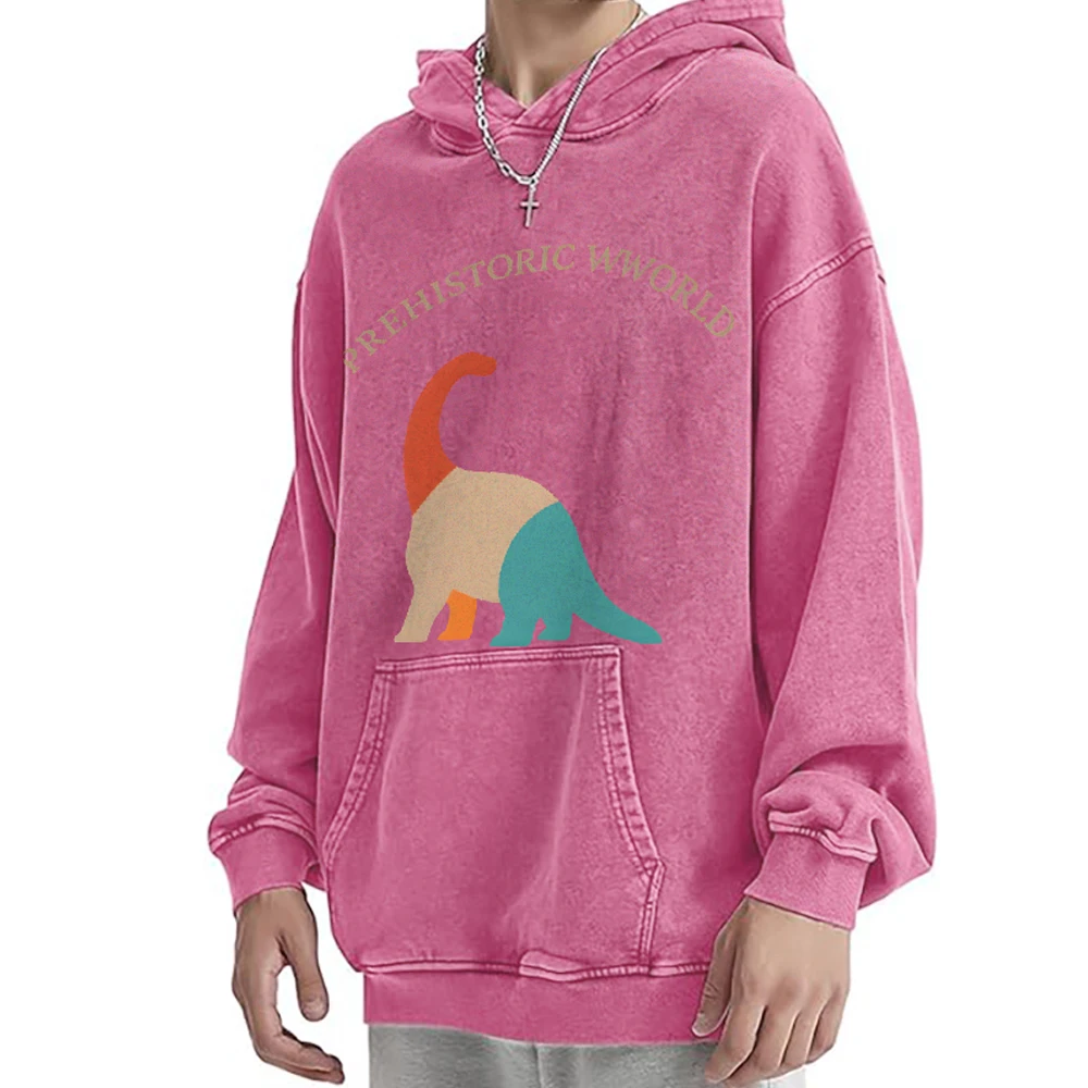 

Cartoon Colorful Retro Dinosaur Casual Washed Hoodie Casual Sweatshirt Graphic Fashionable Cotton Comfortable Soft Breathable