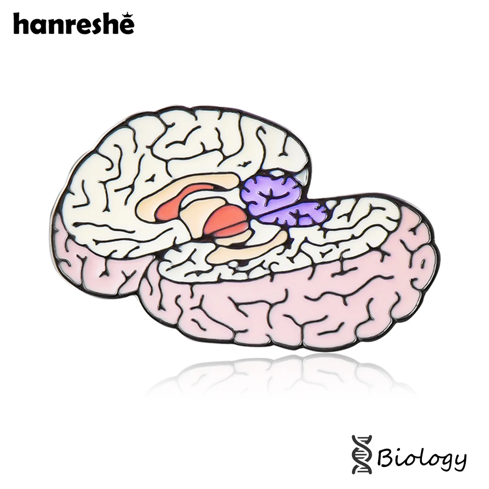 Hanreshe Brain Enamel Pin Medical Neurology Anatomy Biology Jewelry Lapel Backpack Hat Brooch Badge Gifts for Doctor